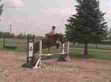 English Horse back riding lessons
