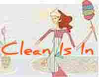 CLEAN IS IN Cleaning Services