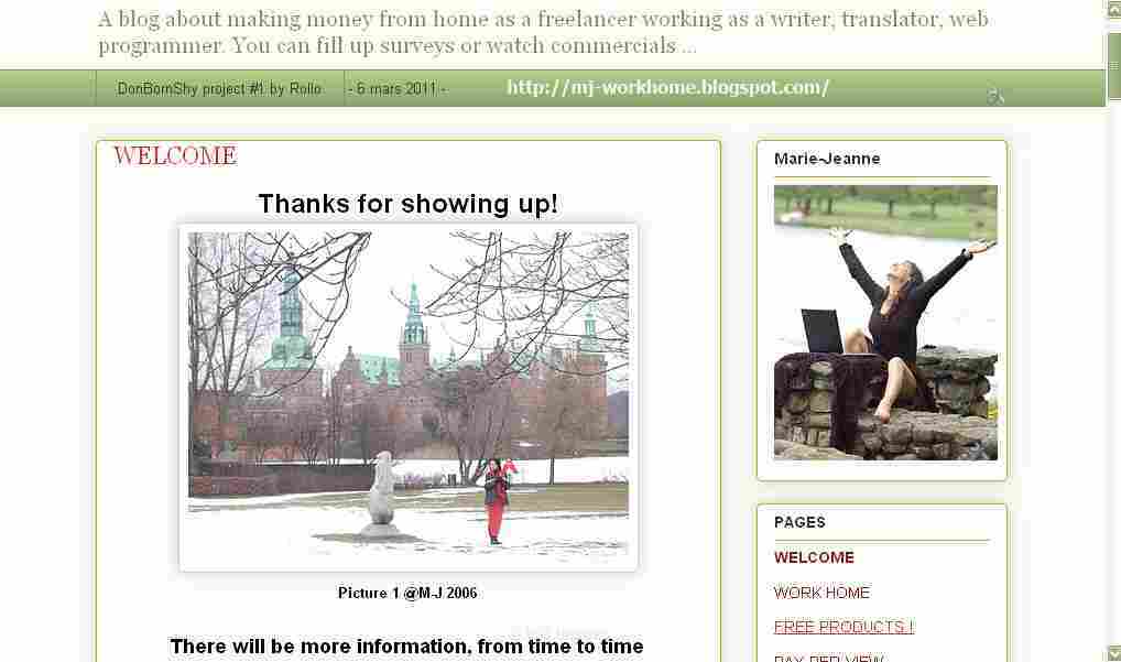 ! Tips about working from home with the internet !