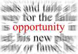 Lucrative Business Opportunity-no competition