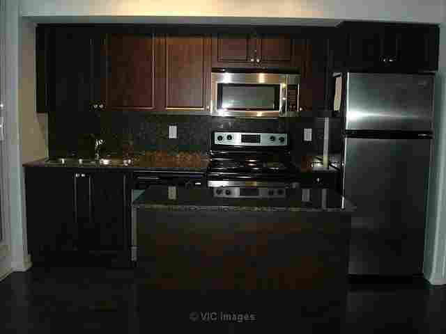Exceptional and immaculate brand new 1 bedroom condo-Lakeshore Blvd