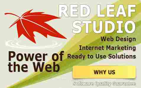 100% custom Brochure design (mailer, flyer, tri-fold brochure, booklet etc.)