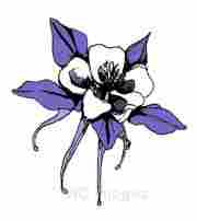 Gardeners Wanted - Metro West Boston Area