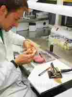 Australia Dental Technology