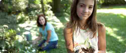 Life Insurance 2