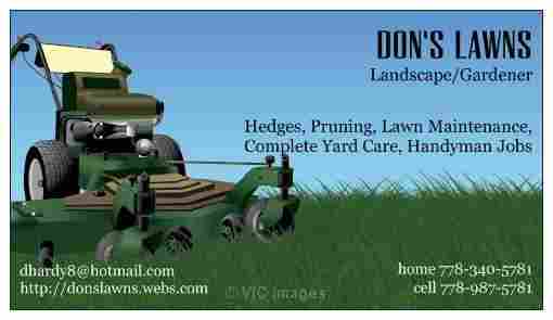 Yard Clean-Ups, Hedges Trimmed, Lawn  Maintenance, We do it all!