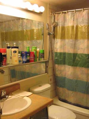 Room Availiable close to York University