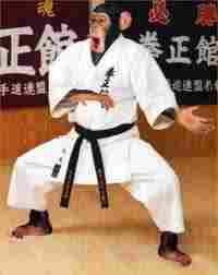 Karate Do