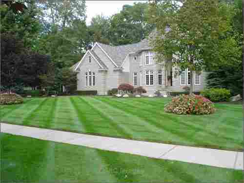 Fall Property Cleanups