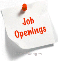 Earn upto Rs.100$ to 3000$/- per Month (ID : 340)