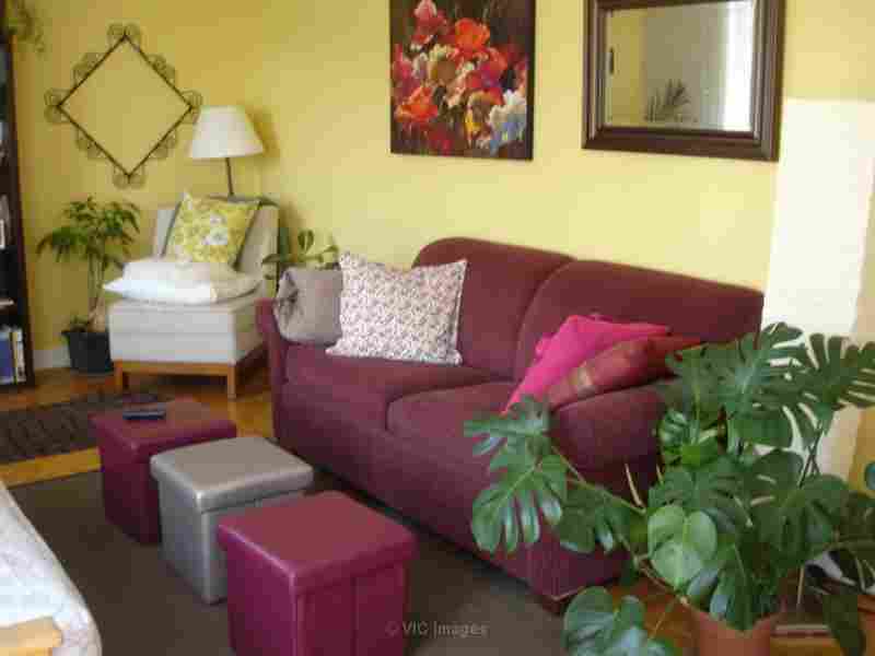 Well maintained couch which converts into double bed