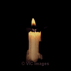 PSYCHIC TAROT READING BY CHLOÉ LOVE,MONEY,CAREER and MUCH MORE