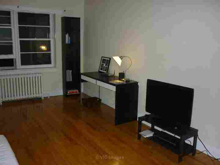 Huge Furnished Apt for Sublet Jan (Vanier)