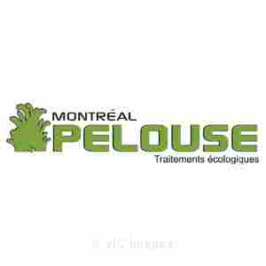Entretien de Pelouse