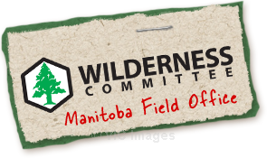 Canvass Field Manager
