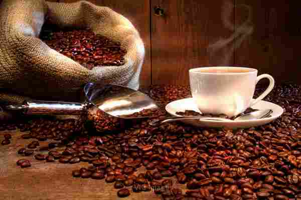High Quality Fresh Roasted Cofee in Ottawa