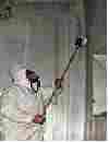 Mold Testing, Detection, Cleaning and Remediation
