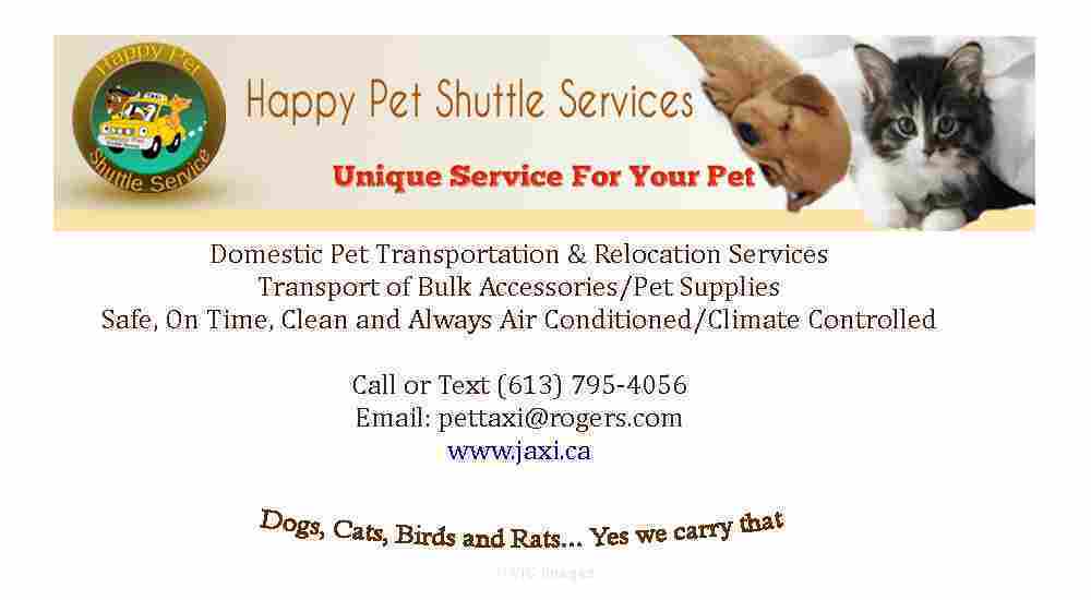 Pet Taxi