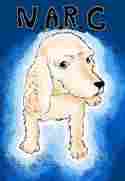 Sanda and your doggy picture day
