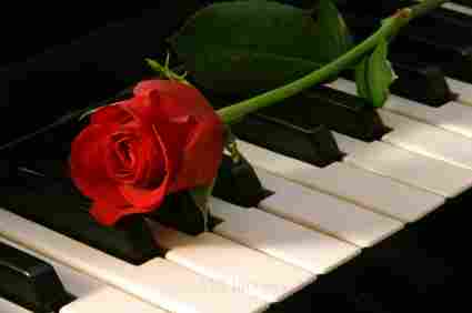 Piano and Theory Lessons for Beginners
