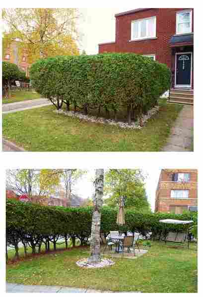 Free hold 3 bedroom house for sale