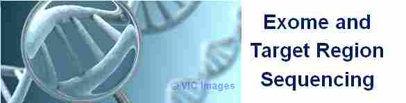 Exome & Target Region Sequencing