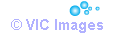 Daisy Pool Covers & Rollers