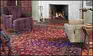 Water and mold removal Cooper city at Carpetcleaningandwaterdamage.com