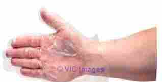 New Edition of Food Industry Polythene Gloves at SafetyDirect.ie