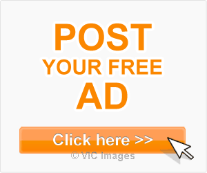 Free Classifieds Biz
