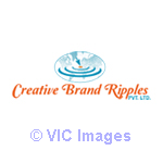 Web Designing Services