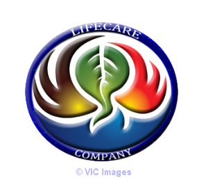 DATA ENTRY HOME JOBS FORM FILLING JOB IN LIFECARE COMPANY(lfcr6067)