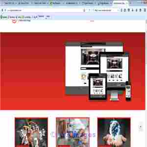 Ecommerce Web Development Company