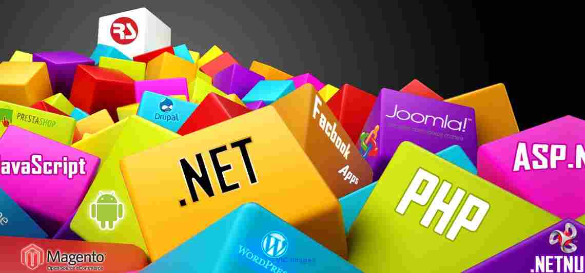 Web Development -Web Designing - SEO, Web Application Developmet