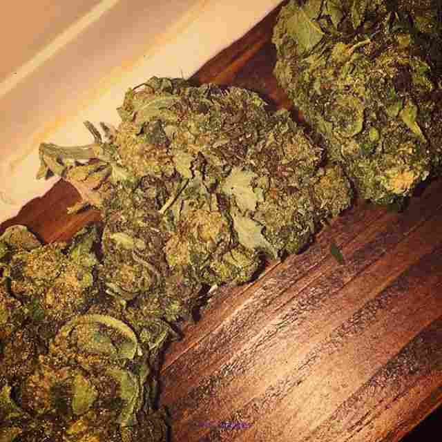 Grade A and Quality     M-M-J and Other meds Available