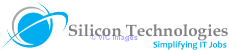 online it training silicongiant