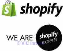 Shopify Website Development