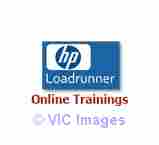 Connect with Best Coaching Institute & Trainers for Load Runner Online