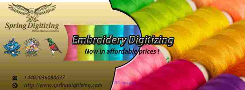 Affordable Vectorzation for your Company logo