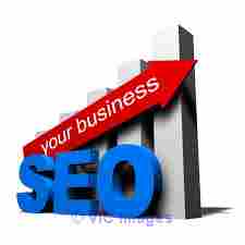Best SEO Services In Toronto