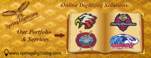 Are you looking for best digitizing and Vectorization designs in USA?