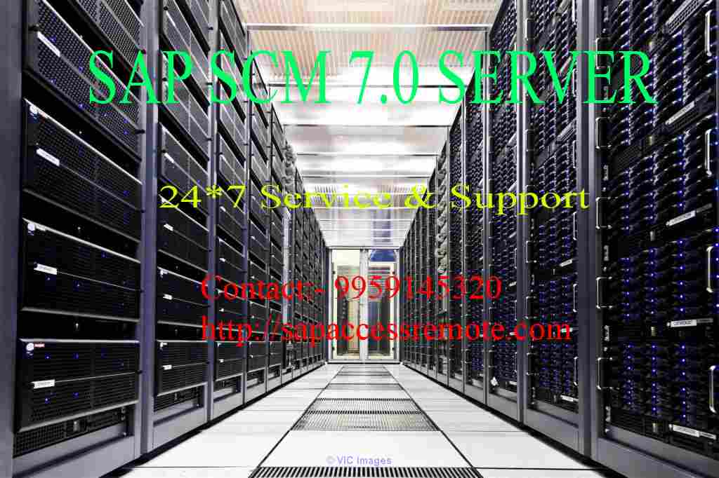 SAP SCM 7.0 Server 24*7 service and Support