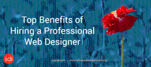 Local and Global Web Designers at low cost for hire