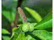 Manhood enhancement products+27740583569 Alberton,Bedfordview,Benoni