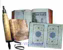 Holy Text Prophetic Studies And Fellowship