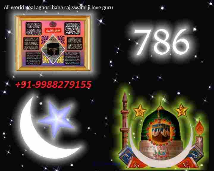 love problem solution baba ji +91-9988279155