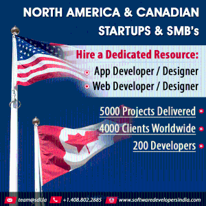 Are you looking for Dedicated developers?
