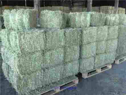 High Quality Lucerne Bales for sale