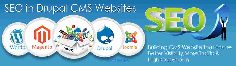 SEO Drupal Services in Chennai